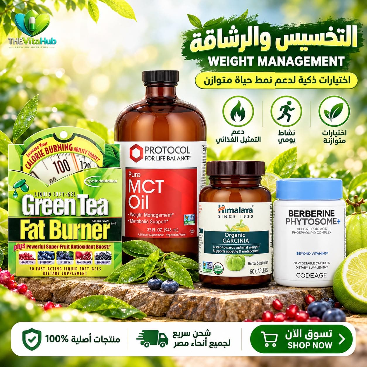 التخسيس والرشاقه